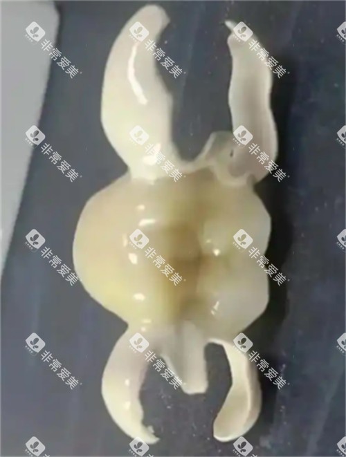 马里兰桥修复展示