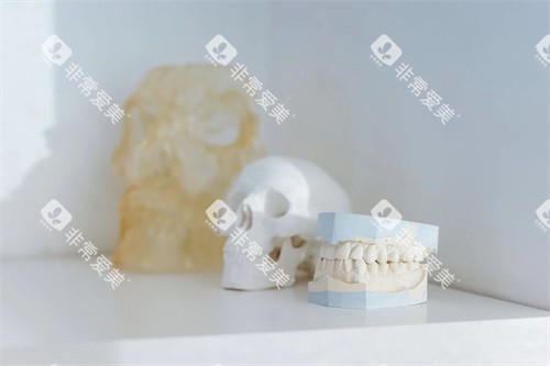 牙齿材料展示 牙齿材料展示