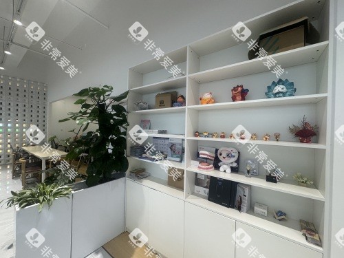 大理金莱雅口腔展示架示意图