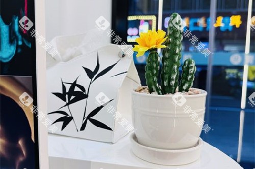 赣州青檬口腔内部环境图 赣州青檬口腔内部环境图