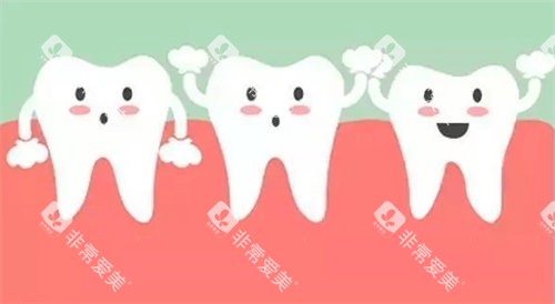 牙齿健康图 牙齿健康图