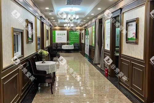 上海中喜慧丽口腔走廊图