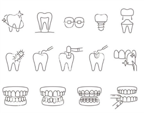 牙齿类型卡通图