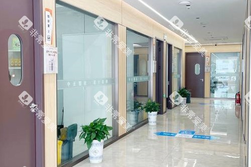 荆州中诺口腔走廊图