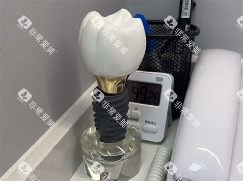 种植牙单颗模型
