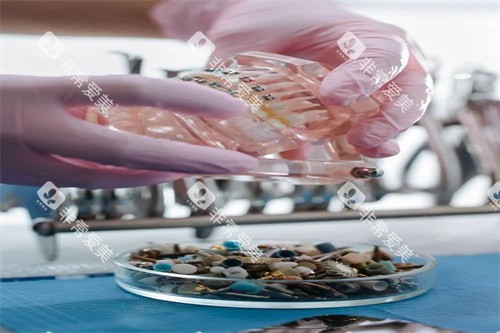 牙齿模型展示图宣传 牙齿模型展示图宣传