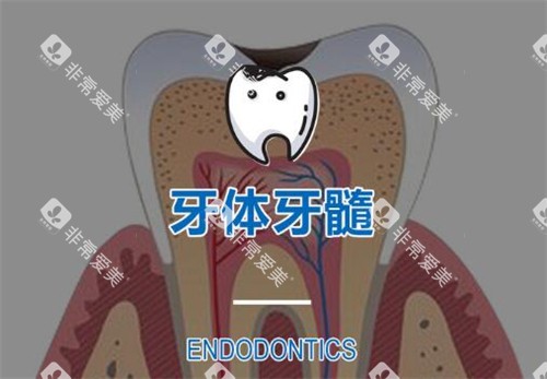 根管治疗改善图 根管治疗改善图