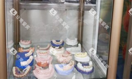 杭州巧妙口腔牙齿模型展示
