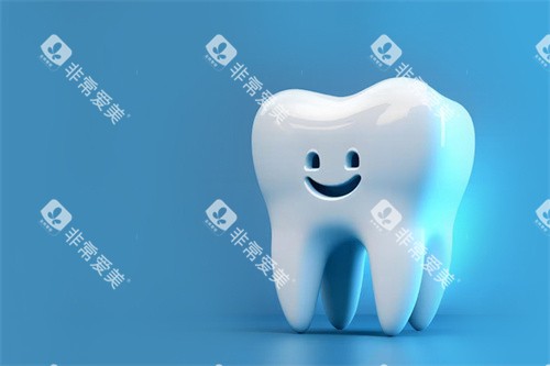 3D牙齿图 3D牙齿图