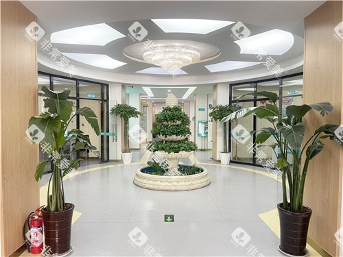 濮阳柏林牙医口腔大厅环境 濮阳柏林牙医口腔大厅环境