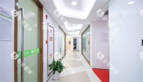 苏州英博口腔走廊环境