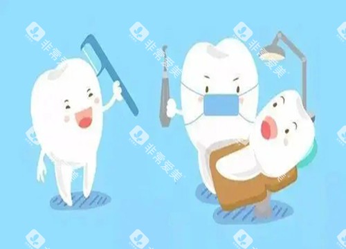 牙齿检查卡通示意图