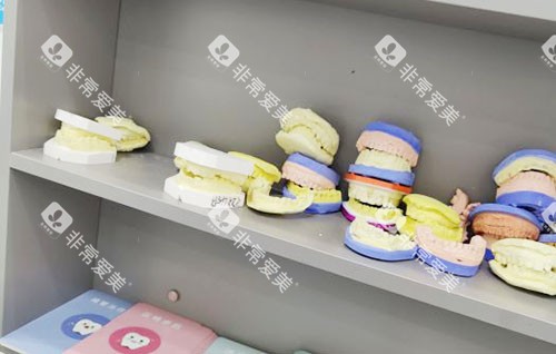 海口牙医森口腔牙齿模型实拍