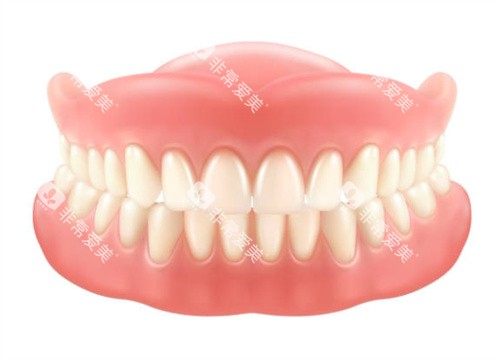 全口假牙模型图 全口假牙模型图