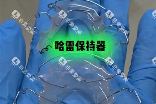 哈雷保持器