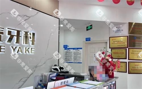 中山贝壳口腔内部环境 中山贝壳口腔内部环境