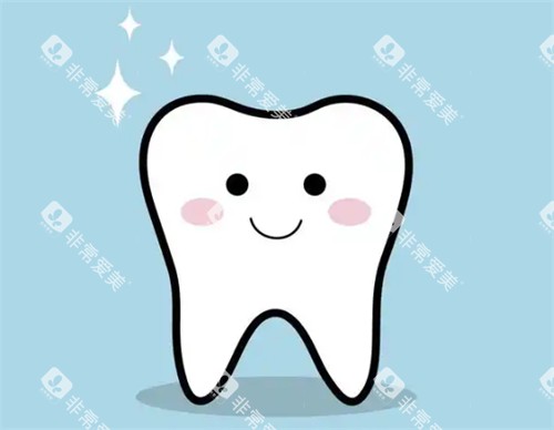 牙齿模拟图 牙齿模拟图