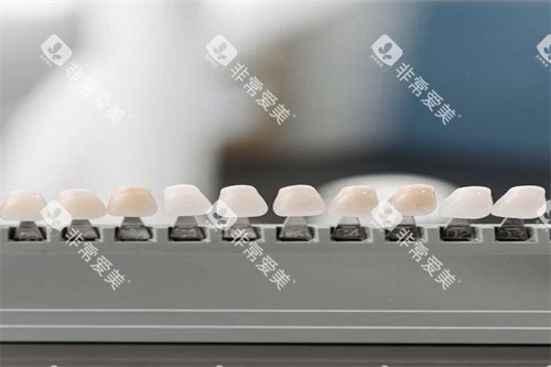 义齿材料宣传图