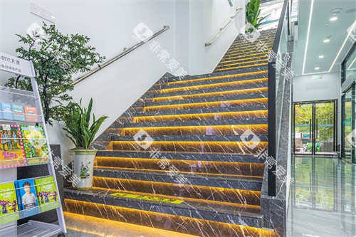 金华莱蒽口腔楼梯间