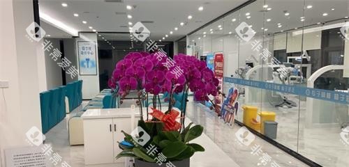 日照微笑口腔内部环境