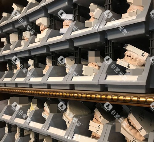 北京佳美口腔牙齿模型展示柜