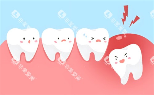 拔智齿动画