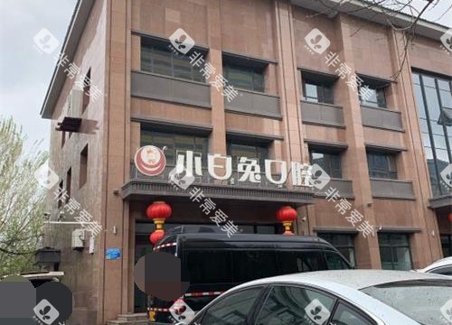 新疆乌鲁木齐兔博士口腔外观
