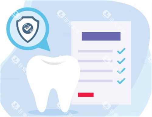 牙齿档案 牙齿档案