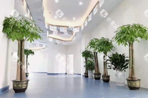 岳阳平江致远口腔内部环境 岳阳平江致远口腔内部环境