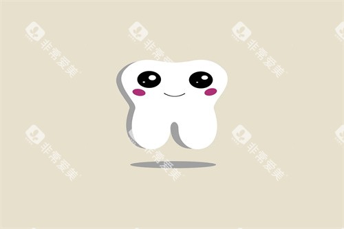 牙齿知识卡通图 牙齿知识卡通图