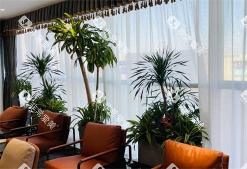 南京江北固德口腔休息区 南京江北固德口腔休息区