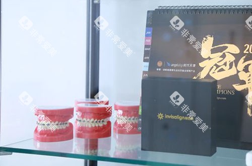 成都美莱口腔牙齿模型展示