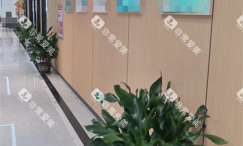 南阳中诺口腔走廊图 南阳中诺口腔走廊图