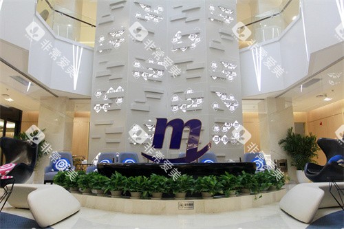 天津环湖美澳（原美奥）口腔大厅logo