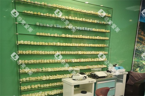 上海鑫齿口腔牙套展示柜