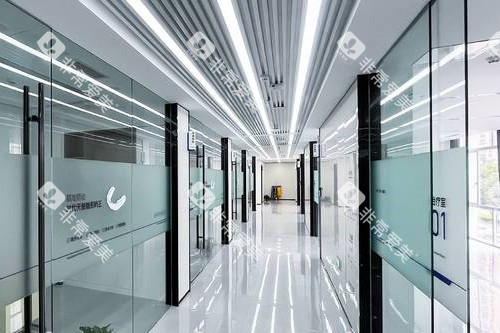 常州固德熊猫口腔走廊图