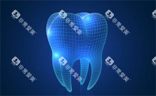 牙齿建模模型图