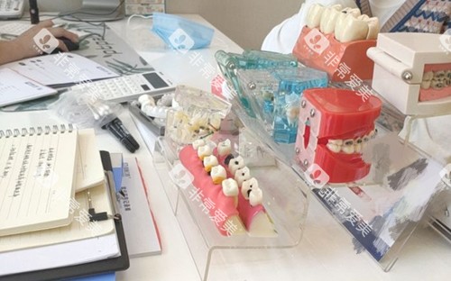 常州美奥口腔医院牙齿模型