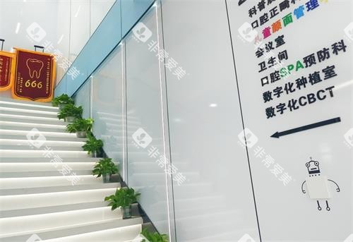 江苏镇江雅澳口腔楼梯