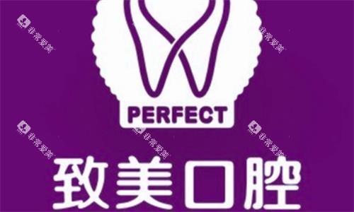 惠州致美口腔医院logo图