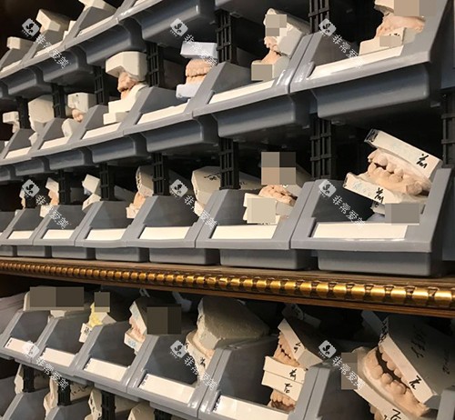 北京佳美口腔牙齿模型展示柜