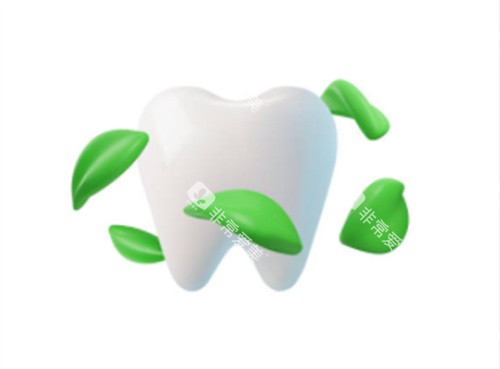 健康牙齿图 健康牙齿图