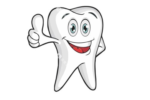 健康牙齿卡通图 健康牙齿卡通图