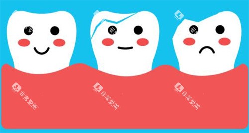 牙齿萌萌图 牙齿萌萌图