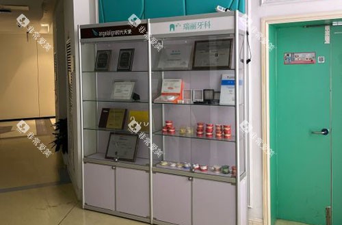 杭州瑞丽口腔牙齿模型展示