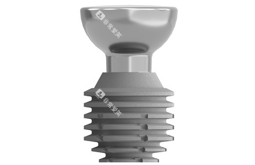 美国百康种植牙植体形态 美国百康种植牙植体形态