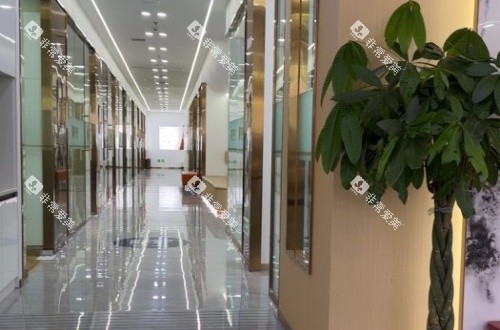 乐山启辰口腔走廊示意图 乐山启辰口腔走廊示意图