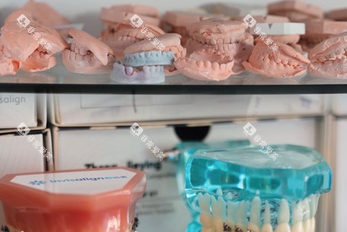 海口三叶口腔牙齿模型图