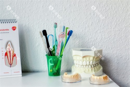 牙齿模型宣传展示