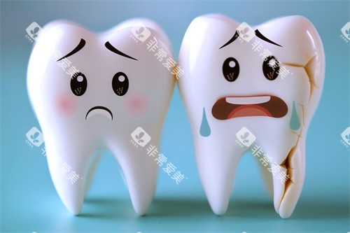 正常牙齿和牙齿发裂模型